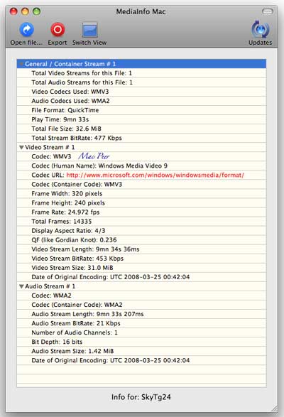 MediaInfo: interfaccia